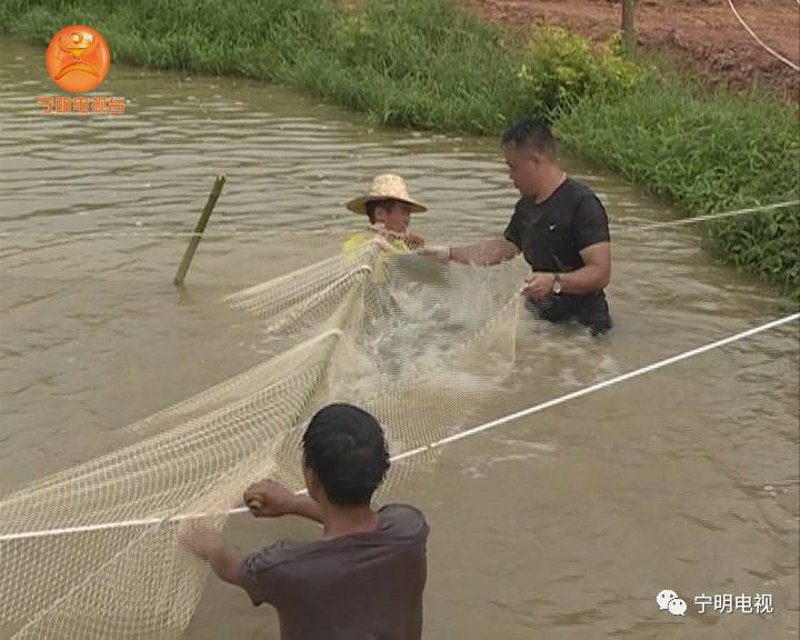 数字化浪潮下的水产养殖基地：革新与变革