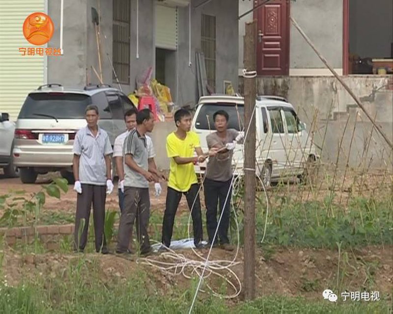 鱼苗批发行业的最新动态