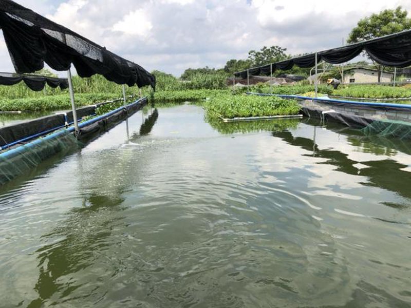 生态水产养殖