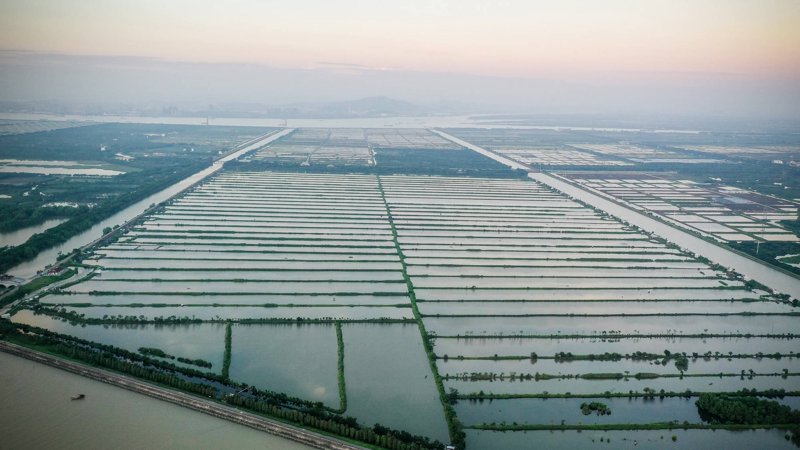 探寻水产养殖基地,选择优质水产品
